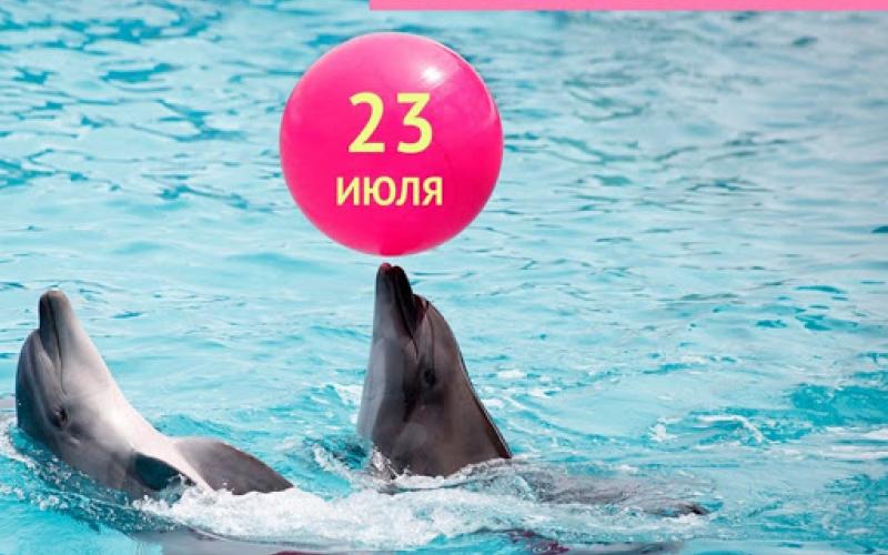 Всемирный День Китов и Дельфинов!